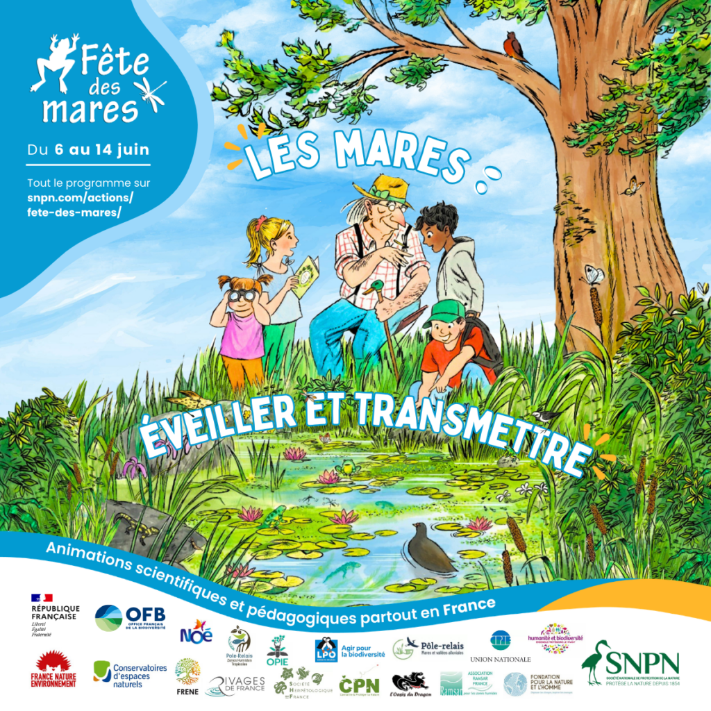 Fête des mares : France Nature Environnement sensibilise à la biodiversité aquatique