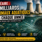 Nucléaire : l'hécatombe invisible de 5,9 milliards d'animaux aquatiques dont personne ne parle