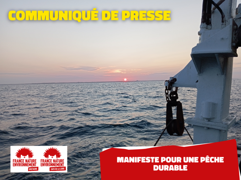 Manifeste pour une pêche durable : l’Union européenne appelle à des mesures concrètes.