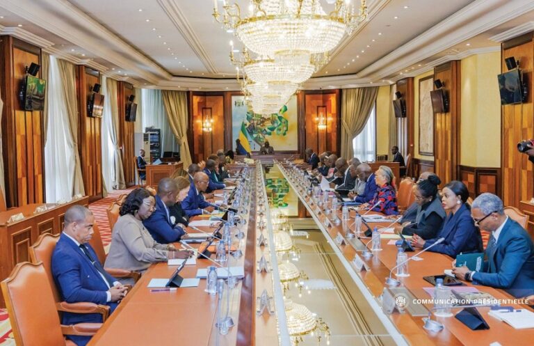 Conseil gabonais : démantèlement de la SEEG et ordonnances sur la sacralité des décisions.