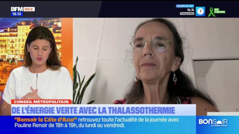 Conseil métropolitain : Juliette Chesnel-Le Roux présente ses propositions.
