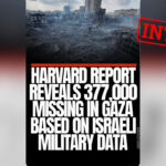Disparition de 377 000 Gazaouis : une étude de Harvard soulève des interrogations sur les données.