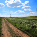 Colloque sur la santé en milieu rural : enjeux et solutions pour les acteurs locaux