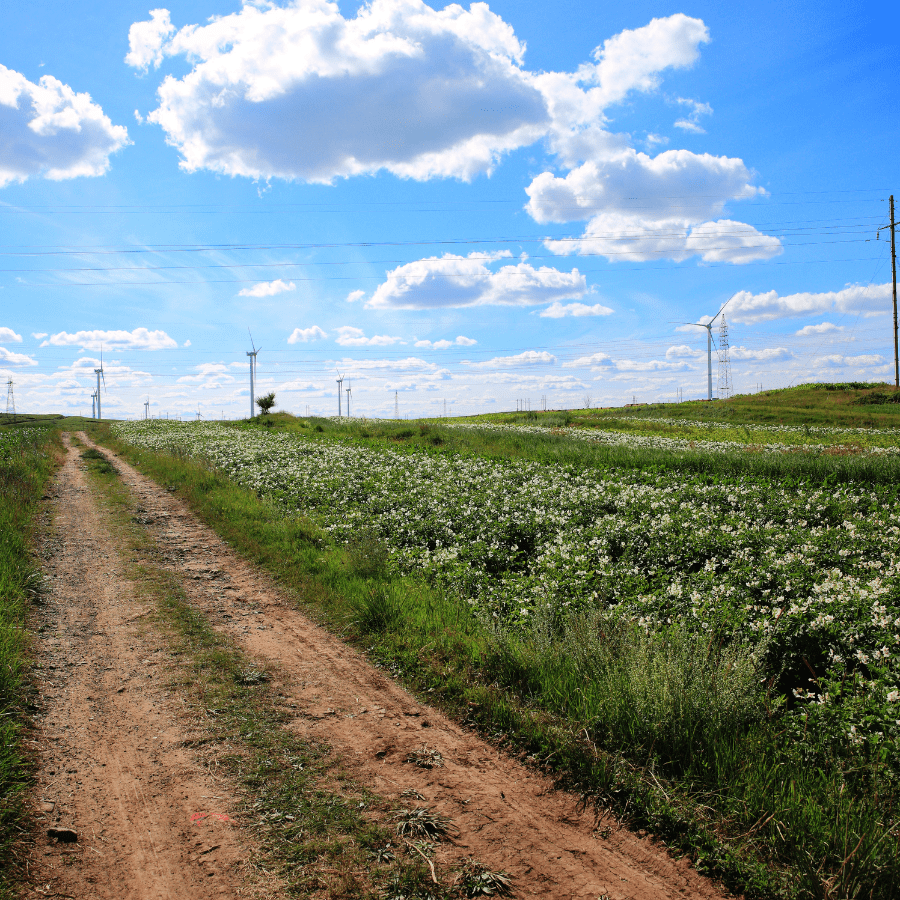 Colloque sur la santé en milieu rural : enjeux et solutions pour les acteurs locaux