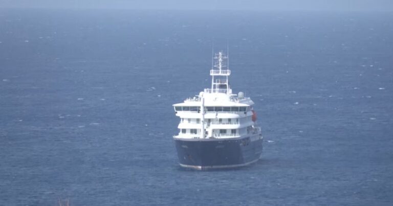 Hantavirus détecté sur un navire de croisière, risque faible de transmission confirmé.