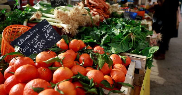 Des recettes contre l’arthrose validées par la science sans expertise culinaire requise