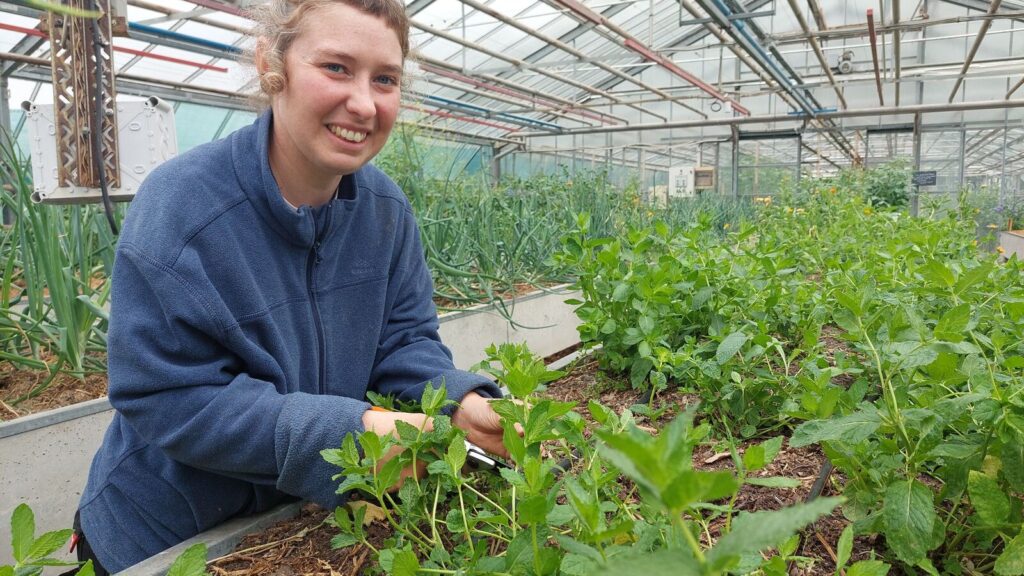 À Guyancourt, les jardins du cœur facilitent le retour à l’emploi des participants.