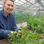 À Guyancourt, les jardins du cœur facilitent le retour à l’emploi des participants.