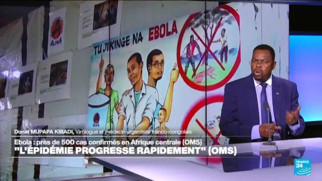 Ebola : près de 500 cas confirmés en Afrique centrale selon l’OMS