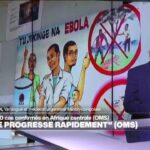 Ebola : près de 500 cas confirmés en Afrique centrale selon l’OMS