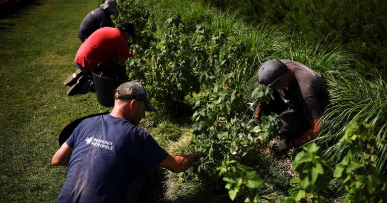 Canicule : la productivité des travailleurs chute de plus d’un euro par heure à 30 °C