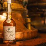 Troyes : La prunelle, un enjeu pour la filière agricole locale.