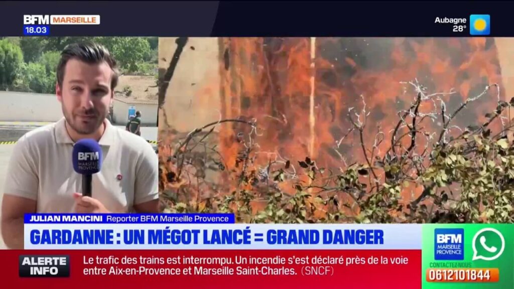 Gardanne : des mégots jetés constituent un risque pour l’environnement local.