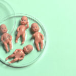 La congélation des ovocytes ne garantit pas la maternité, selon des experts en santé reproductive.