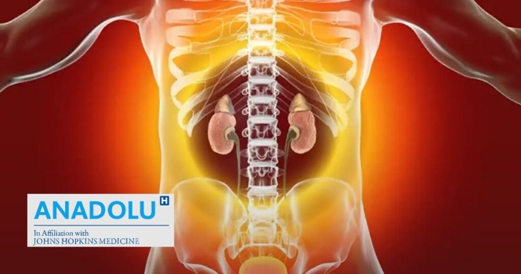 Analyse d’urine révèle un indicateur clé de glomérulonéphrite chez les patients.