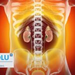 Analyse d&rsquo;urine révèle un indicateur clé de glomérulonéphrite chez les patients.