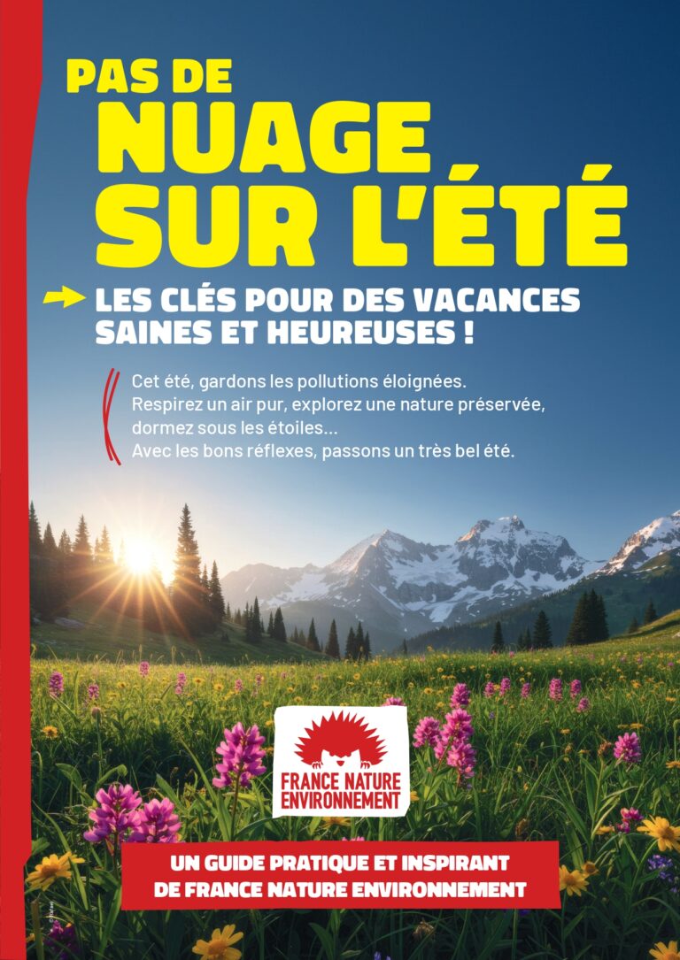 Été sans nuages : recommandations pour des vacances saines et équilibrées.
