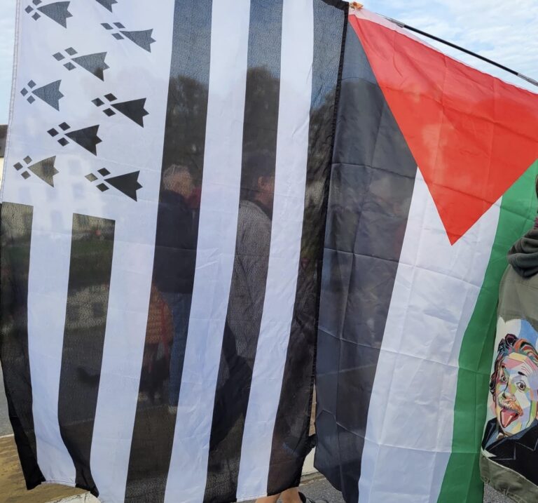 Rennes : des milliers de participants à la manifestation de solidarité avec la Palestine