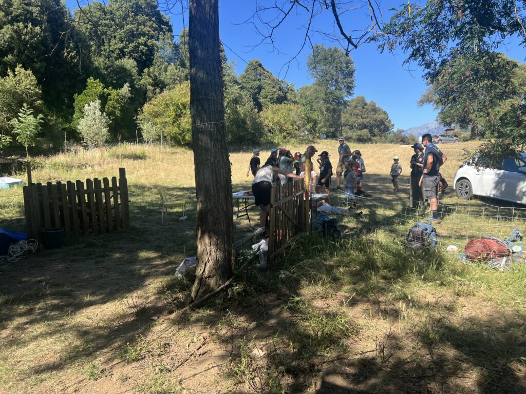 Intervention des Éclaireurs et Éclaireuses de France à Vero pour soutenir l’association Savannah