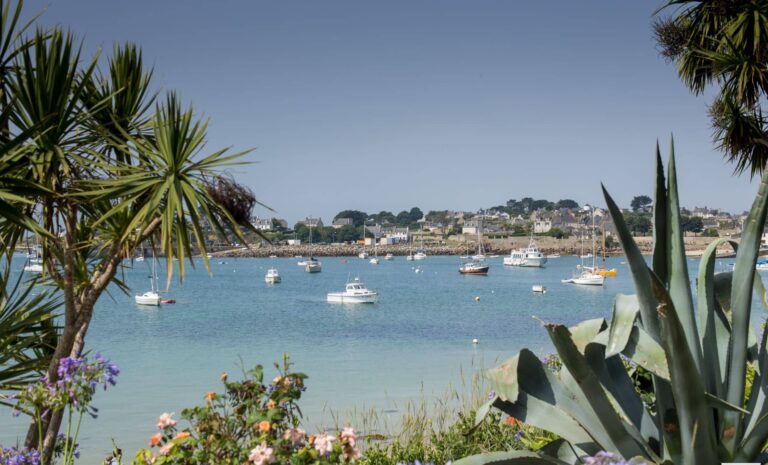 L’île bretonne offre des paysages de palmiers et de plages sauvages inattendus.