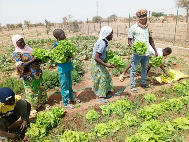 Révolution verte : l’État impose des normes pour une production durable en agriculture.