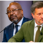 Les démocraties solides ne répriment pas l’opposition, affirme l’avocat de Bilie-By-Nze