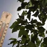 Canicule : Activation possible de la vigilance rouge dans plusieurs départements français