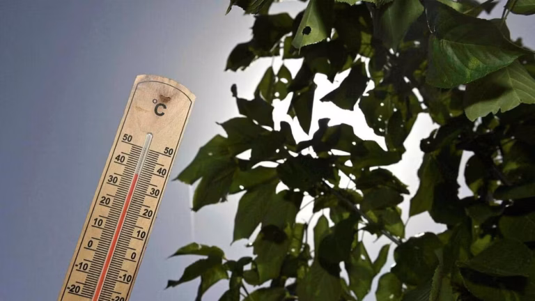 Canicule : Activation possible de la vigilance rouge dans plusieurs départements français