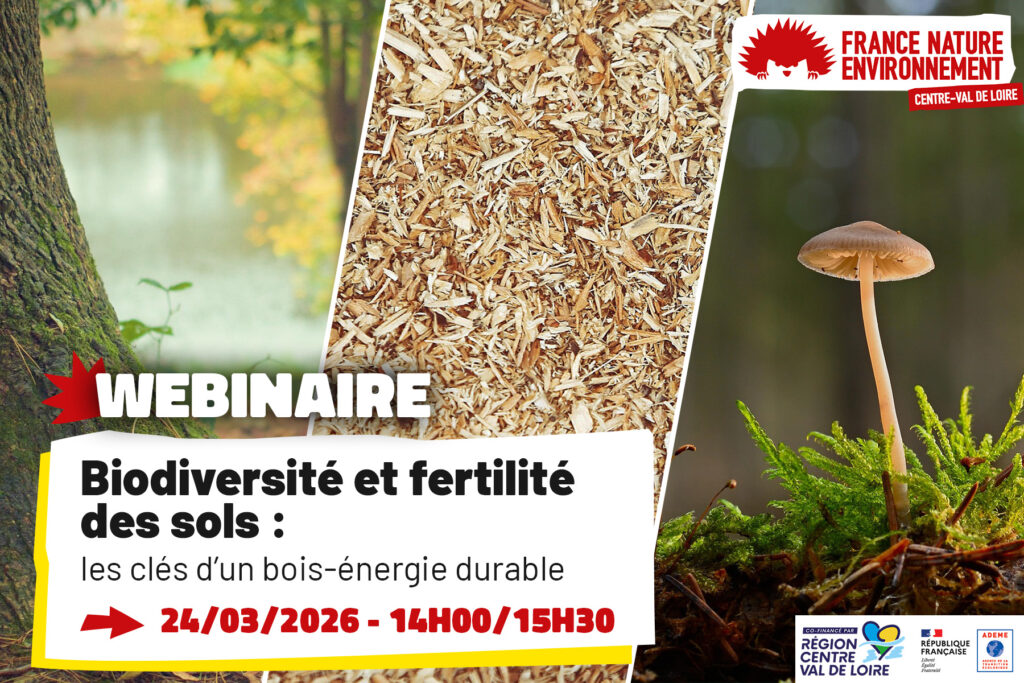 Webinaire sur la biodiversité : enjeux pour la fertilité des sols en agriculture durable.