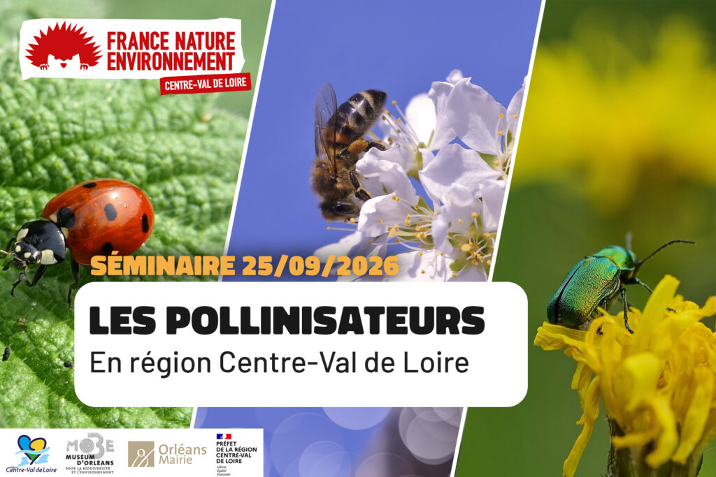 Séminaire sur les pollinisateurs organisé par la région Centre-Val de Loire pour sensibiliser le public.