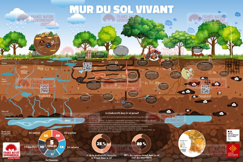 Mur du sol vivant : France Nature Environnement alerte sur la dégradation des sols agricoles.