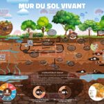 Mur du sol vivant : France Nature Environnement alerte sur la dégradation des sols agricoles.