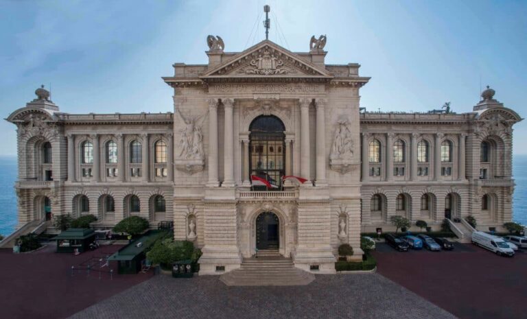 Musée océanographique : Mission Pelagos reçoit un MONDO DR Award pour ses initiatives.