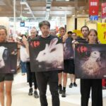 L214 dénonce la mort de 100 millions d&rsquo;animaux pour l&rsquo;enseigne Carrefour en France