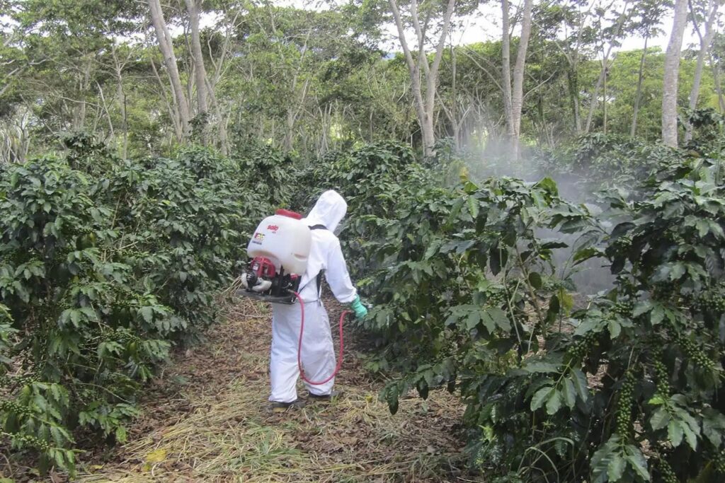 Le principal enjeu soulevé par le rapport concerne l'exposition chronique des travailleurs agricoles aux pesticides.