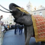 Les milliardaires indiens transforment la Côte d’Azur en destination de luxe pour événements privés.