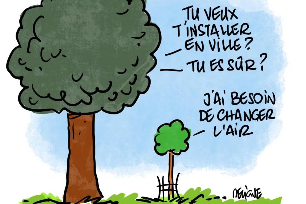 « La ville de Paris examine la faisabilité de planter des arbres en milieu urbain »