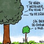 « La ville de Paris examine la faisabilité de planter des arbres en milieu urbain »