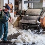 La laine de mouton utilisée par des chercheurs pour améliorer la réparation osseuse