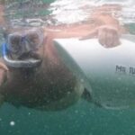 Mr Turbino : un aspirateur sous-marin pour éliminer déchets et microplastiques océaniques