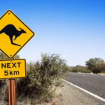 Salon virtuel du PVT Australie : nouvelles opportunités d’emploi pour les jeunes Français.