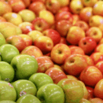 Agriculteur algérien dénonce l&rsquo;absence de filets anti-grêle pour les pommes.