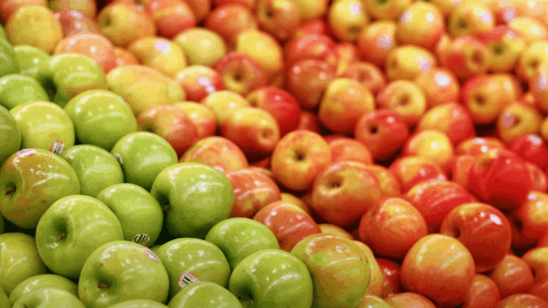 Agriculteur algérien dénonce l’absence de filets anti-grêle pour les pommes.