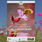 Concours « Capitale française de la Biodiversité » 2024 : candidatures ouvertes jusqu&rsquo;au 8 mars.