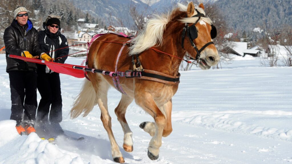 Activités alternatives en montagne pour les vacanciers ne skiant pas pendant les fêtes de Noël.