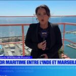 Corridor maritime entre l&rsquo;Inde et Marseille : enjeux pour le commerce international.