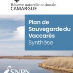 Plan de Sauvegarde du Vaccarès : mesures de protection des zones humides en France
