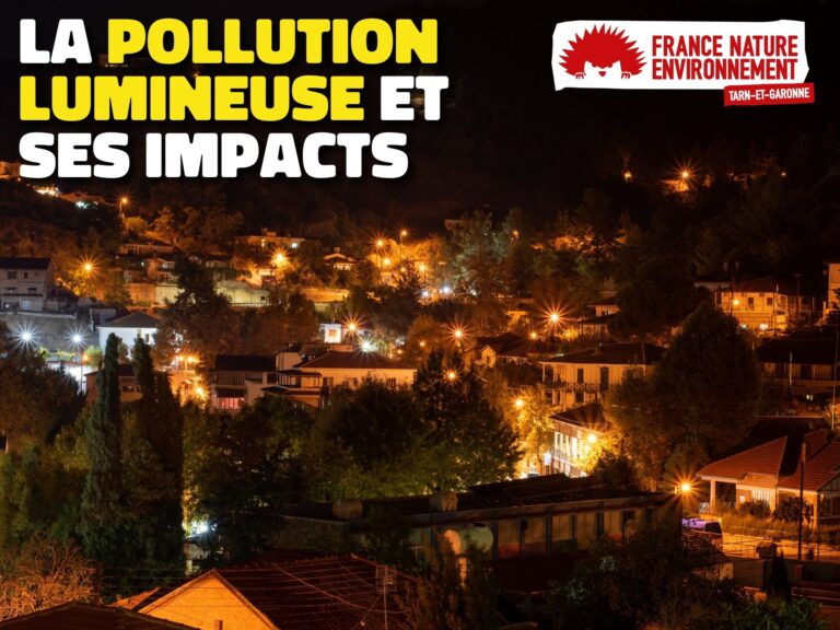 La pollution lumineuse affecte la biodiversité et la santé publique dans les zones urbaines.