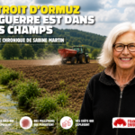 Détroit d’Ormuz : tensions croissantes entre pays producteurs de pétrole et agriculture locale