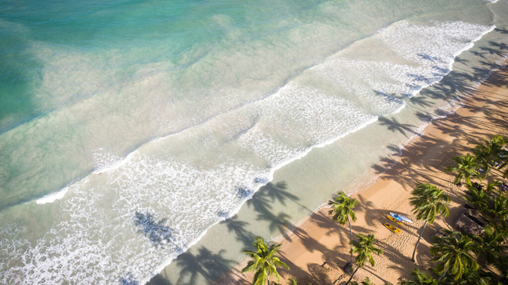 Tourisme : 6 raisons d’explorer la péninsule de Samana en République dominicaine.